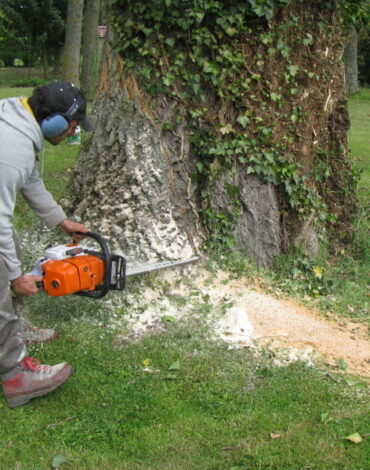 elagageAbattage_0002