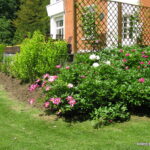 Entretiens de jardins