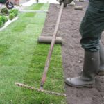 Engazonnement de jardin